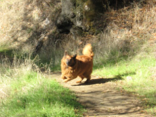 Loves her hikes