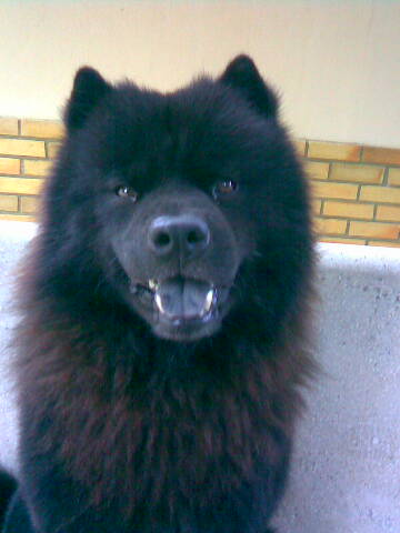 black close up on bench.jpg