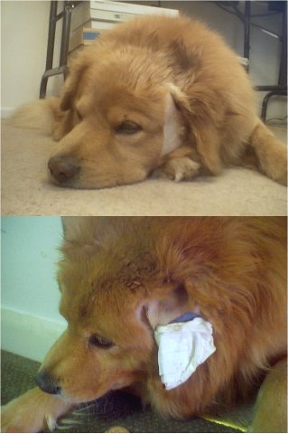 He's sad. Cancer - 2002 and then hematoma - 2004.