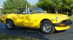 inca_Yellow_mgb.jpg