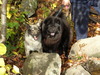 thanksgivingweekend2009-229.jpg