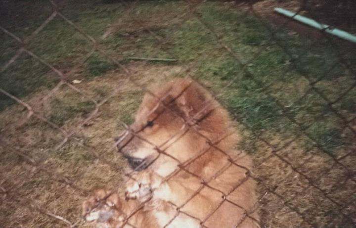 The night I first met her at my uncle's house; November 2000