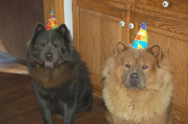 091712 Birthday boys.jpg