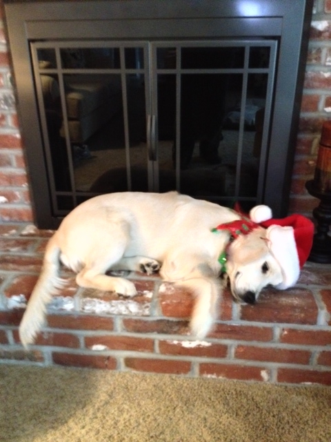 bella waiting for santa.jpg