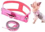 dog harness1.jpg