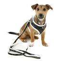 dog harness2.jpg