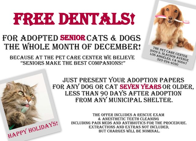 FREE DENTAL CHECK UPS FOR ALL RESCUED SENIORS. December deal 2013.