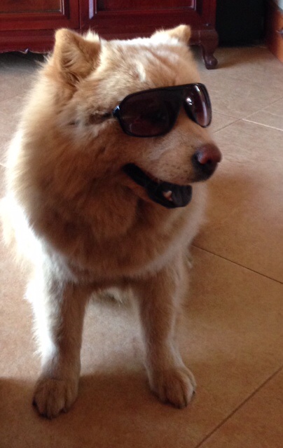 Nala has high hopes to win the title of Ms Beach-chow 2014