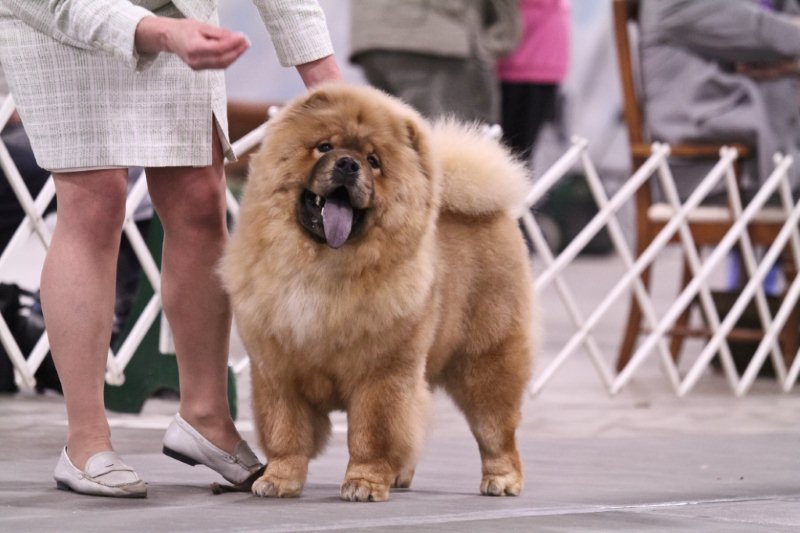 Rory at his 1st show