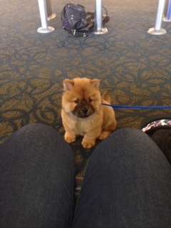 waiting for our flight home!