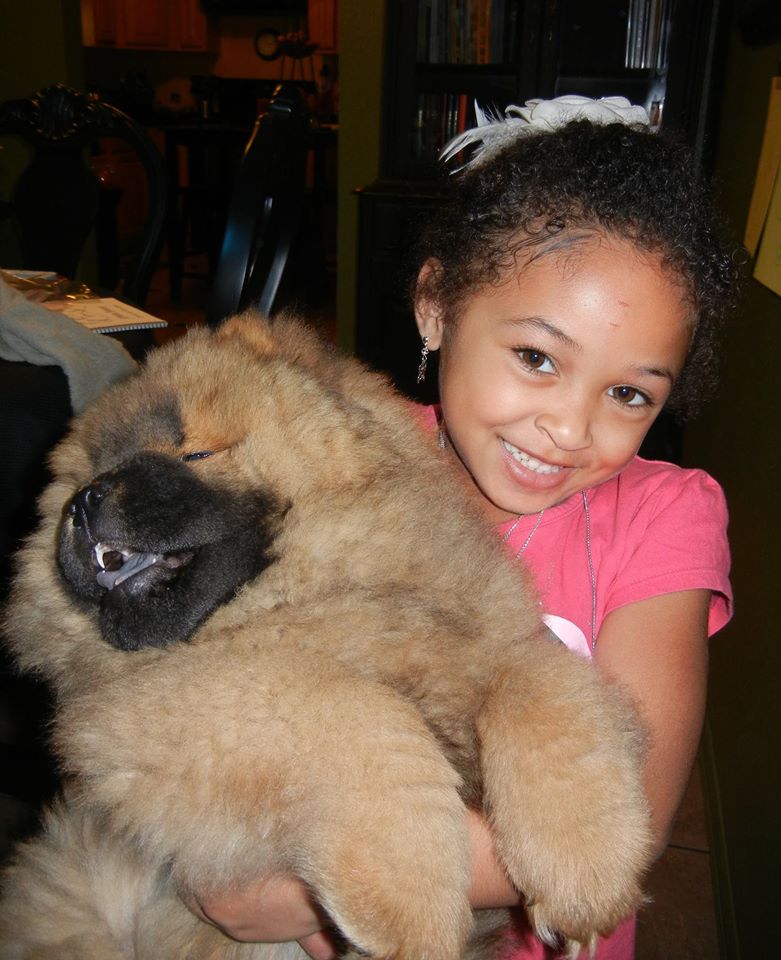 Our Chow with our granddaughter