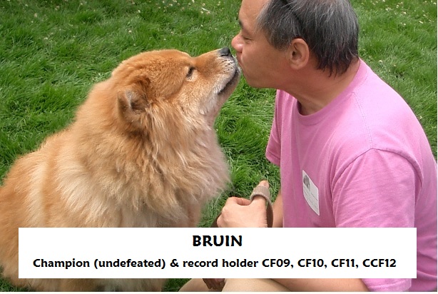 Bruin champion.jpg