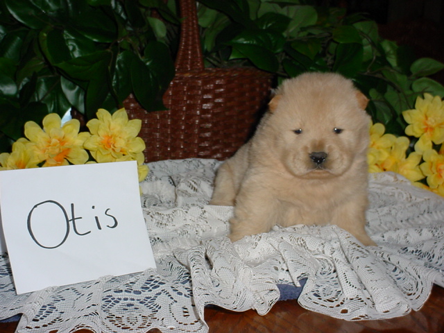 Freud is getting bigger.  He is now 4 weeks old :)