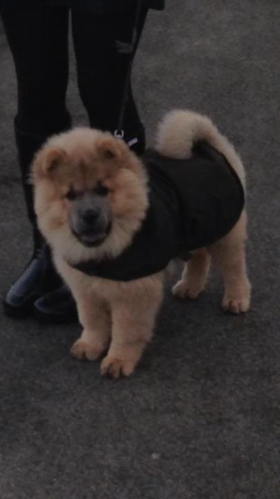 Charlie in her Barbour