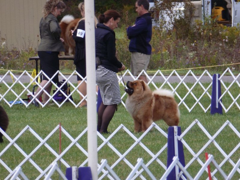 Rory at outdoor show in Romulus, NY