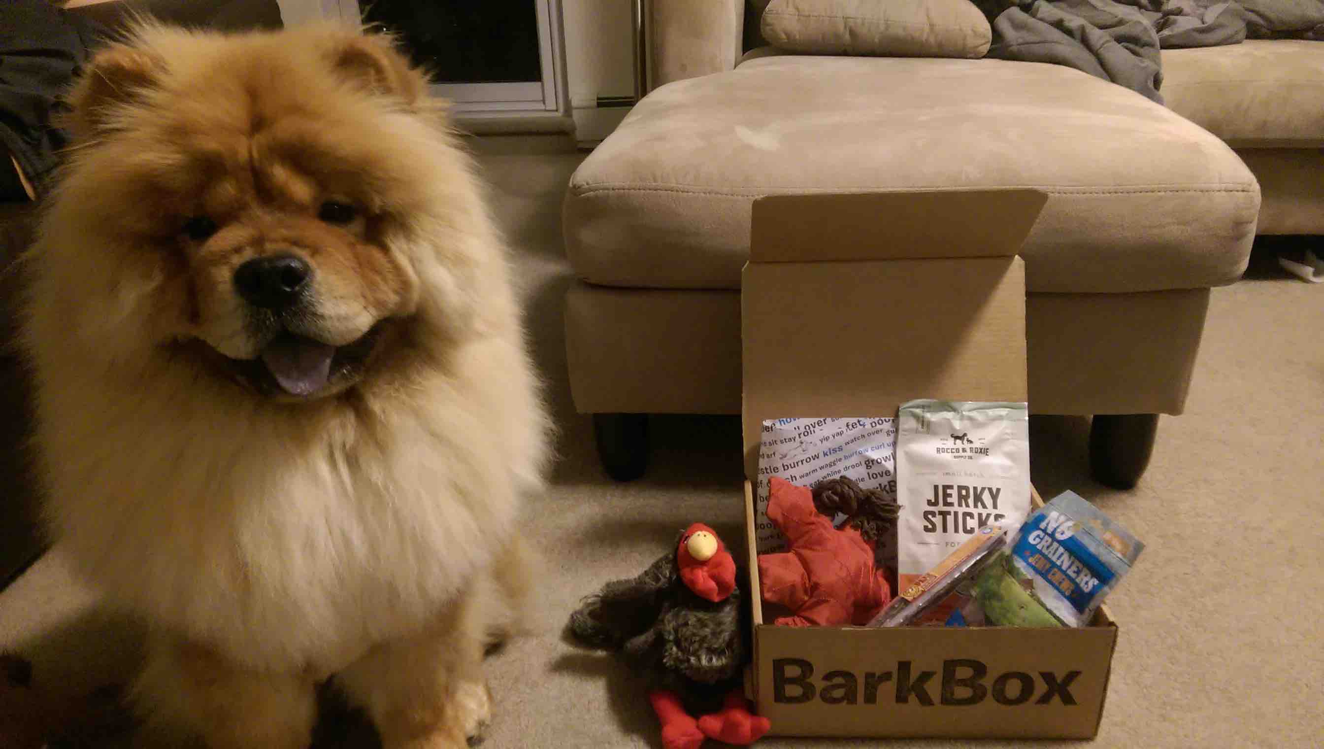Barkbox 3.jpg