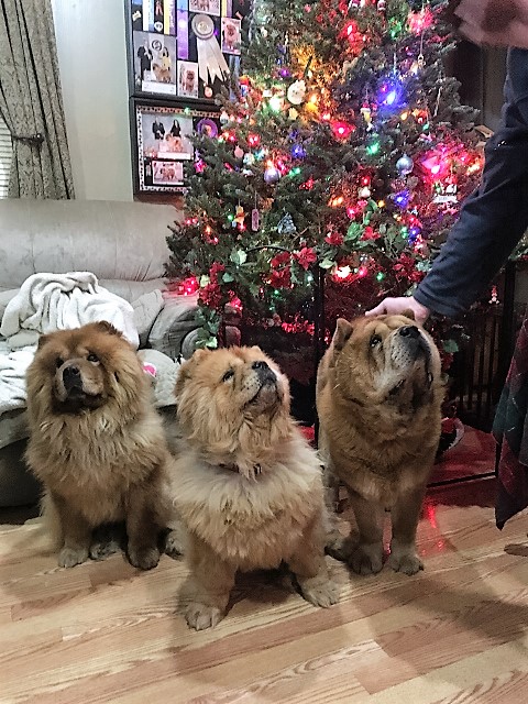 Rory, Amber, &amp; Toby