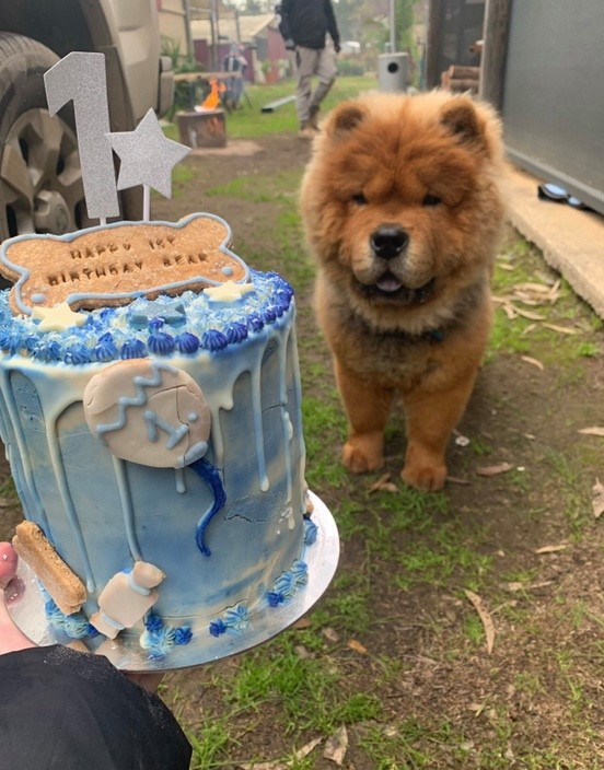 Bear 1st bday Aug 2019.jpg