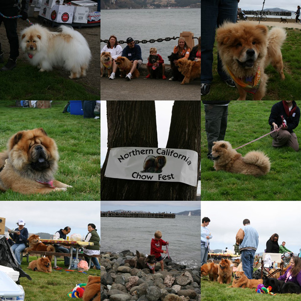 chow-fest-08-collage-3.jpg